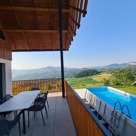 Villa Strtenica In The Vineyard Pristava pri Mestinju Exterior photo