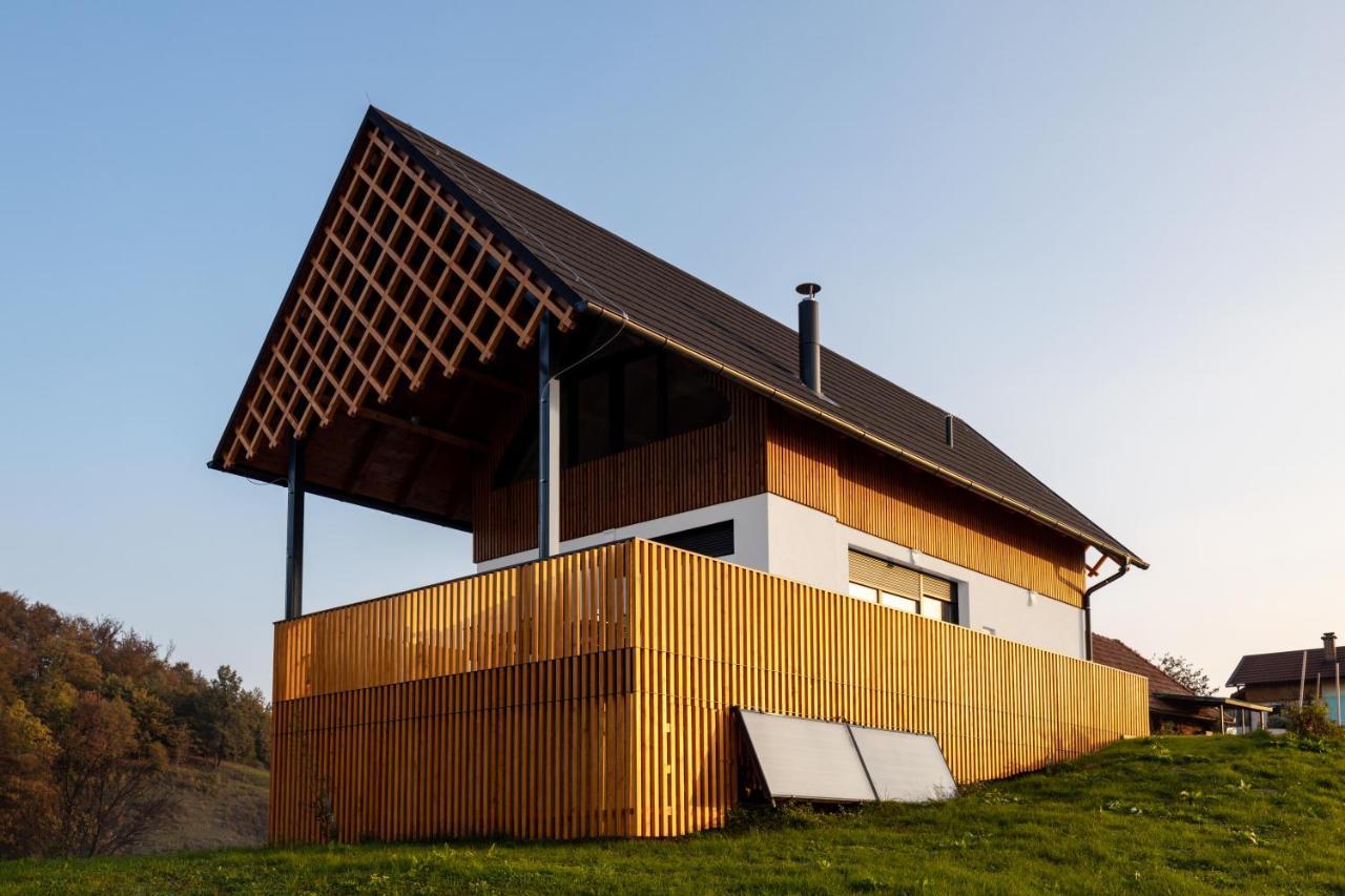 Villa Strtenica In The Vineyard Pristava pri Mestinju Exterior photo