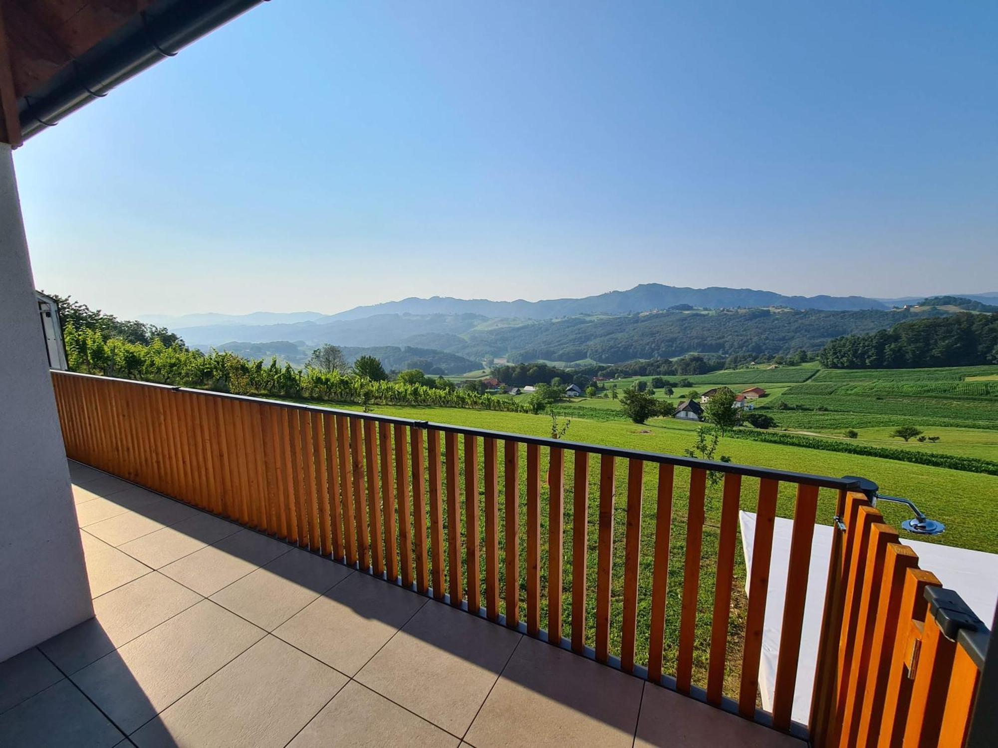 Villa Strtenica In The Vineyard Pristava pri Mestinju Exterior photo